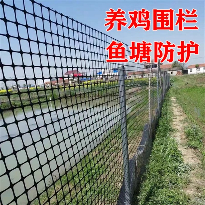 养鸡围栏农村拦鸡鸭鹅护栏栅土工格栅养殖胶隔离塑料格防护网