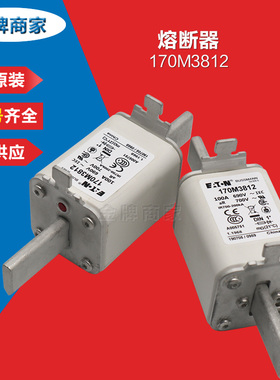 170M3673伊顿巴斯曼快速熔断器 低压熔断器 保险丝 断路器
