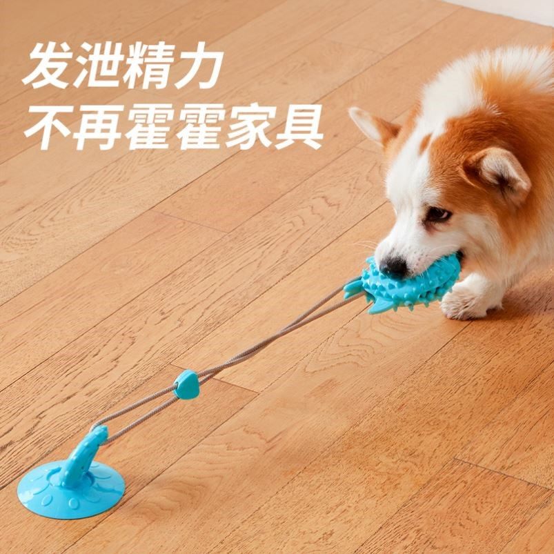 防拆家宠物狗狗玩具吸盘漏食拉力