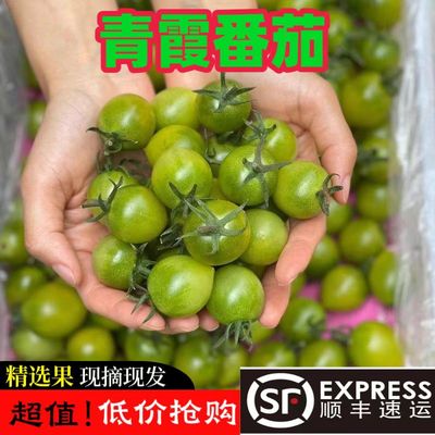 【青霞小番茄】现摘清甜2号小番茄酸甜可口新品种圣女果顺丰京东