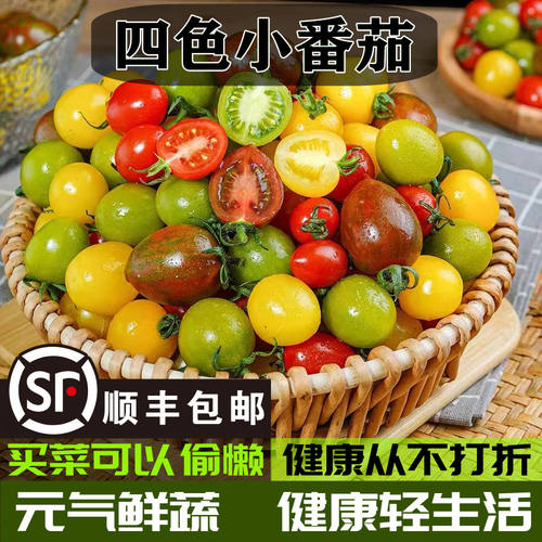 御钦苑新鲜圣女果组合酸甜可口