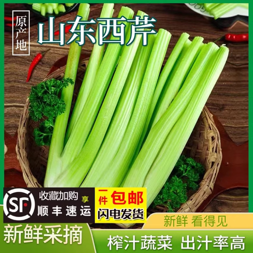 御钦苑新鲜西芹榨汁蔬菜