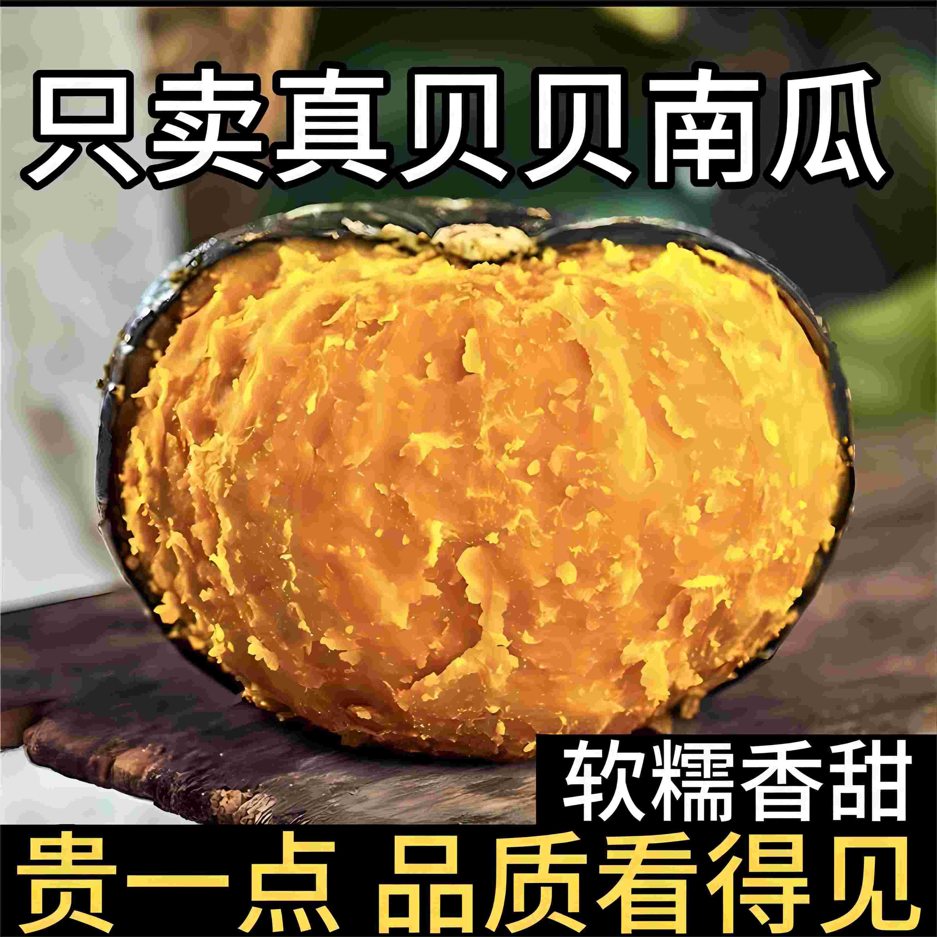 贝贝南瓜板栗小南瓜新鲜当季新鲜粉糯香甜板栗味南瓜宝宝辅食包邮 水产肉类/新鲜蔬果/熟食 南瓜 原图主图