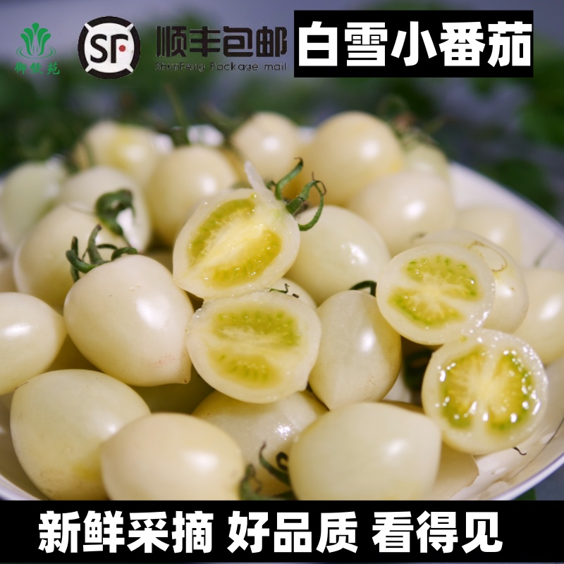 【寿光果蔬】新鲜白雪小番茄白皮白瓤酸甜可口脆皮多汁小圣女果