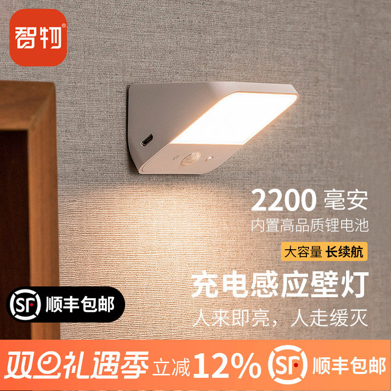 智物人体感应灯入户灯智能壁灯小夜灯过道衣柜灯充电灯人来即亮