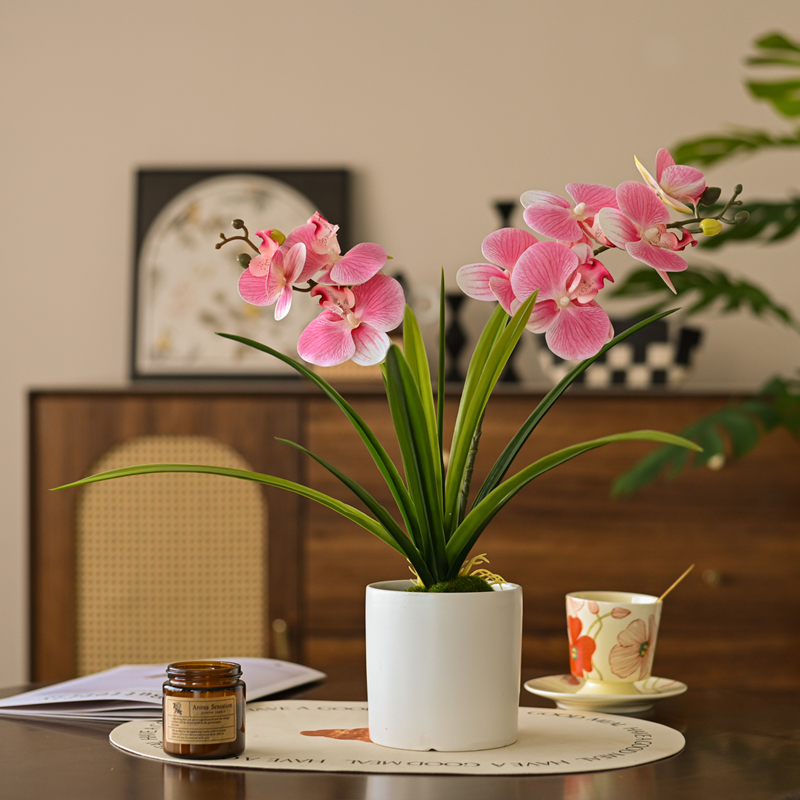仿真花摆件仿真蝴蝶兰小盆栽假花客厅桌面玄关花卉绿植摆设装饰