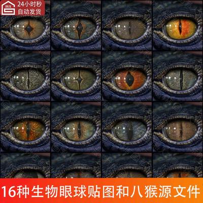 动物蜥蜴蛇类眼睛眼球瞳孔纹理贴图png眼球3d模型fbx八猴4源文件