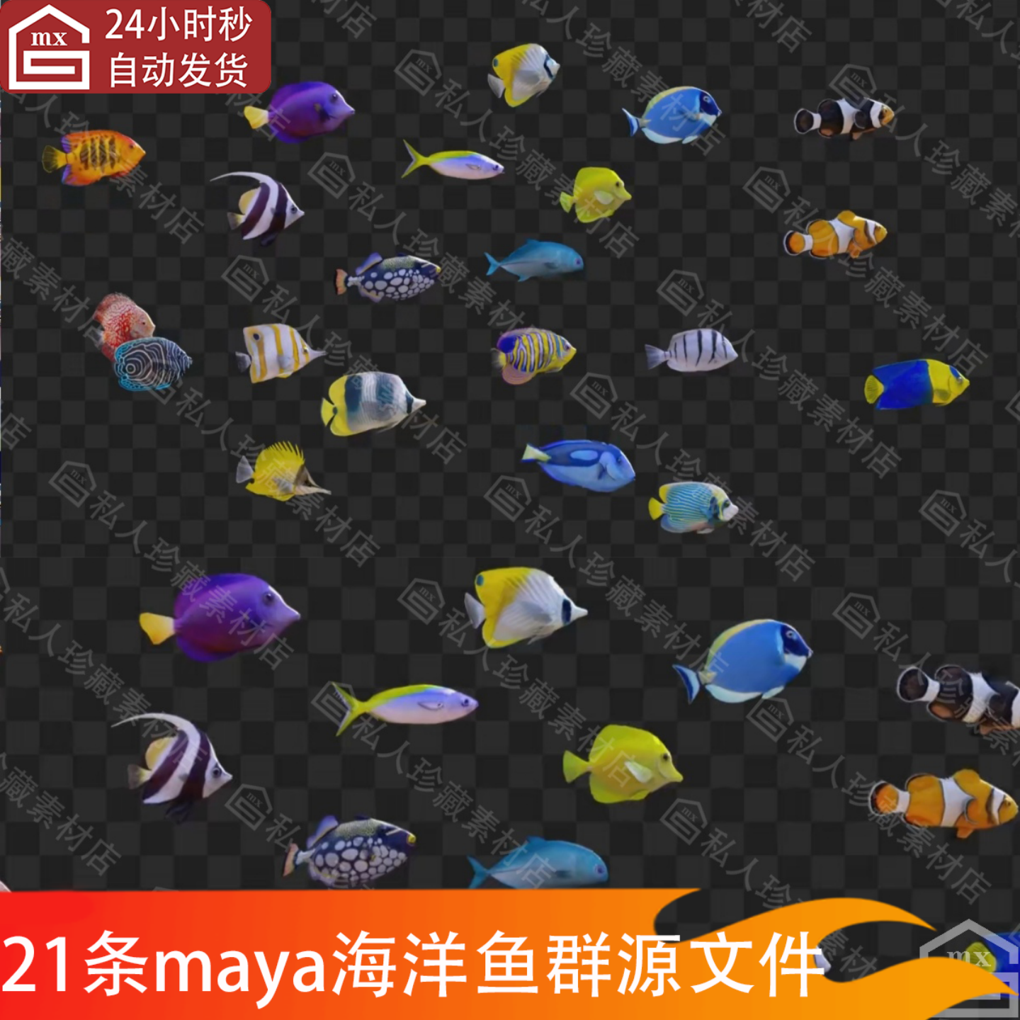 maya海水鱼小丑鱼黄塘线鳍旗鱼鱼类海底海洋生物带动画3D模型C4D
