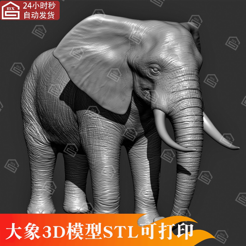 zbrush高精度大象3d模型stl可打印素材立体雕刻三维模型ztl