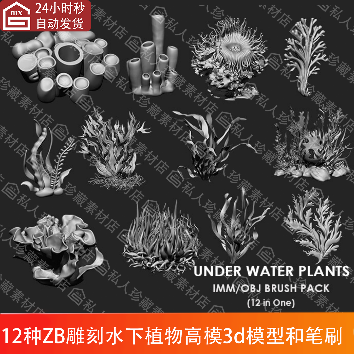 zbrush雕刻水下植物珊瑚水草海带高模3d模型obj图纸imm笔刷zbp
