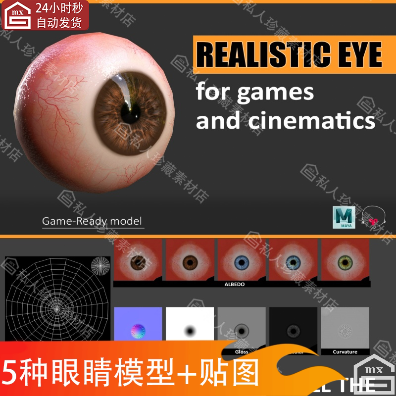 5种逼真人物眼睛虹膜3D模型眼球珠蓝棕绿浅色八猴Maya源文件fbx