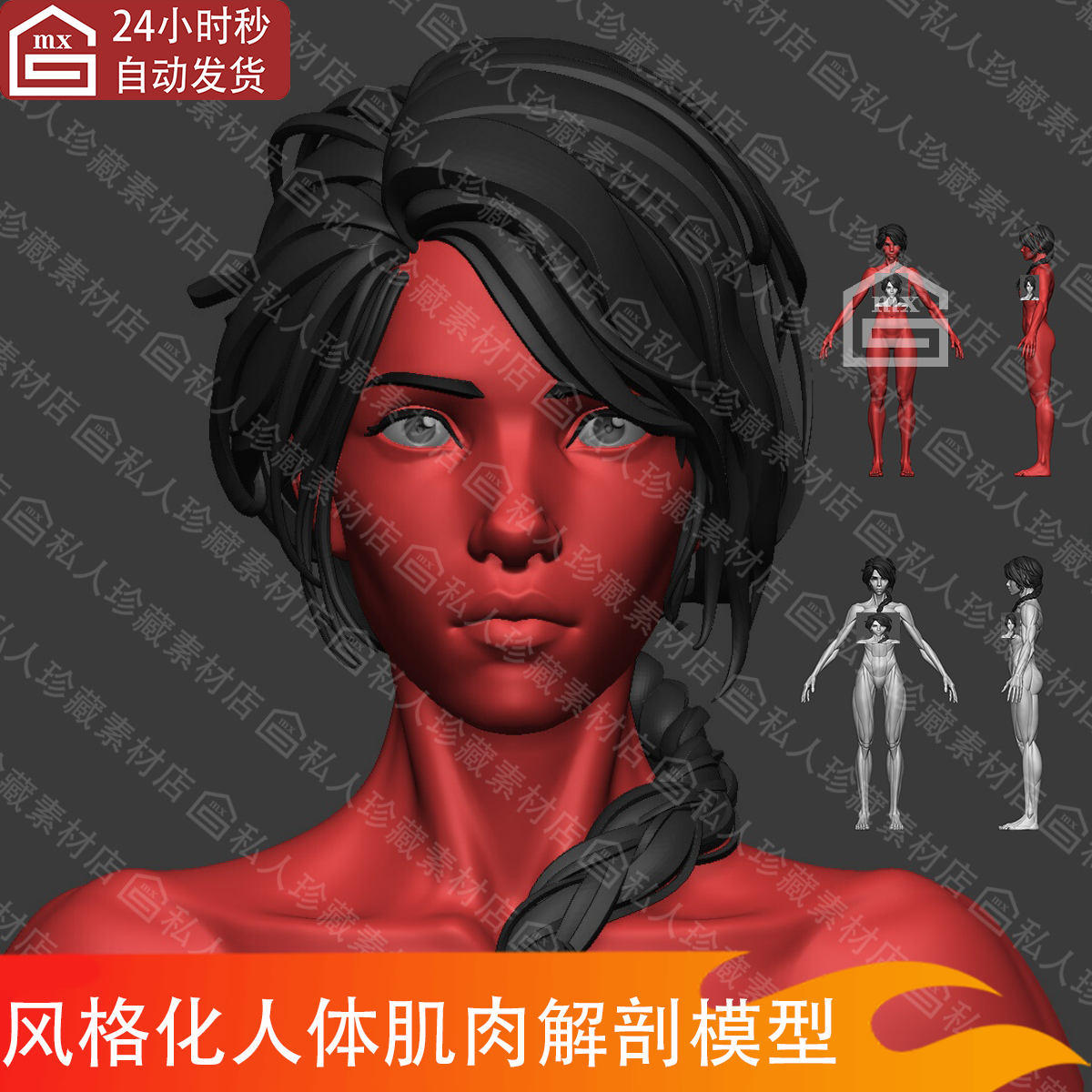 zbrush风格化女性Apose肌肉群人体结构解剖学ZB人物基础3d模型ztl