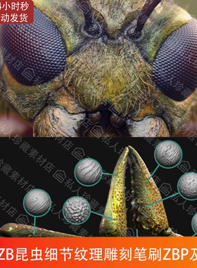 zbrush昆虫爬虫生物皮肤雕刻微细节VDM笔刷ZBP苍蝇有机纹理ZB笔刷