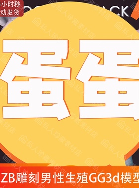 10种ZBrush人类男性生殖器官3d模型obj可打印图纸解剖学雕刻高模