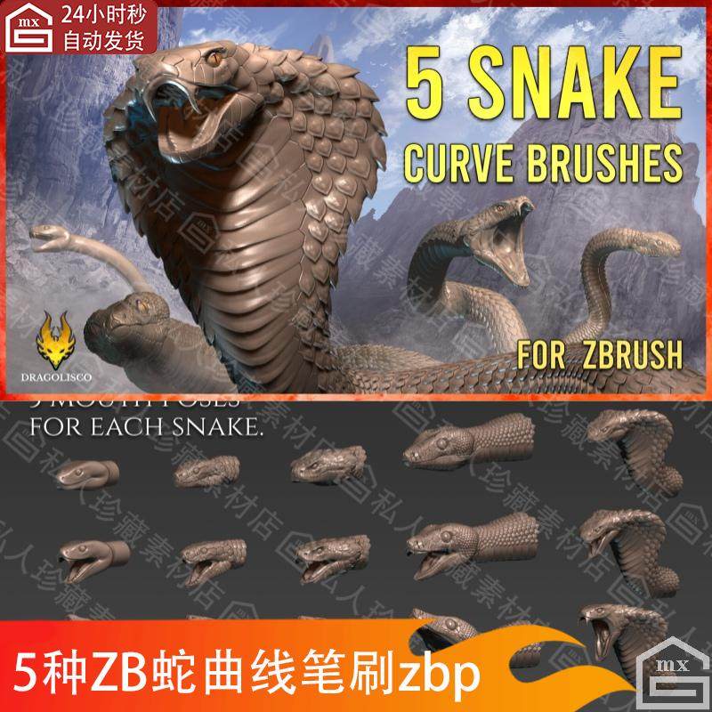 5种zbrush蛇头蛇身笔刷zbp眼镜蛇蟒蛇响尾蛇曼巴蛇毒蛇蛇形ZB笔刷