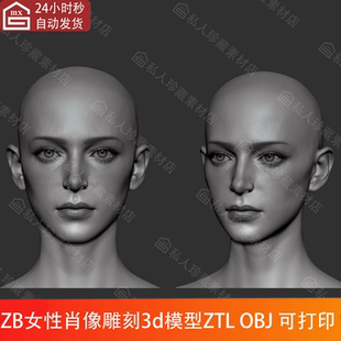 zbrush写实美女头部肖像脸部3D模型zb皮肤五官雕刻雕塑模型可打印