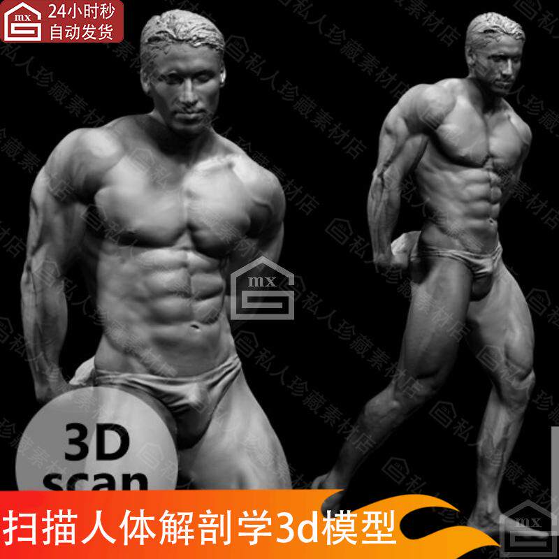ZBrush扫描男性人体姿势肌肉解剖学雕刻雕塑人物角色3d模型fbx