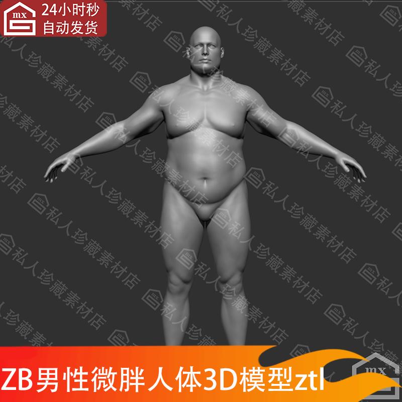 zbrush男性微胖体型人体3d模型ztl带细分ZB雕刻肥胖人物角色模型
