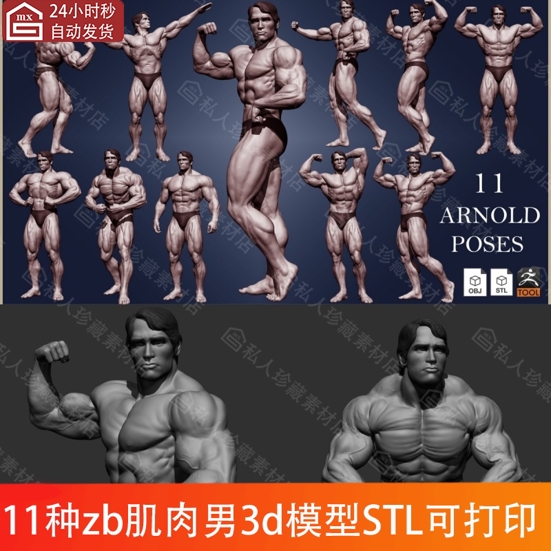 zbrush男性人体3d模型ztl肌肉男健美运动姿势施瓦辛格人物模型stl