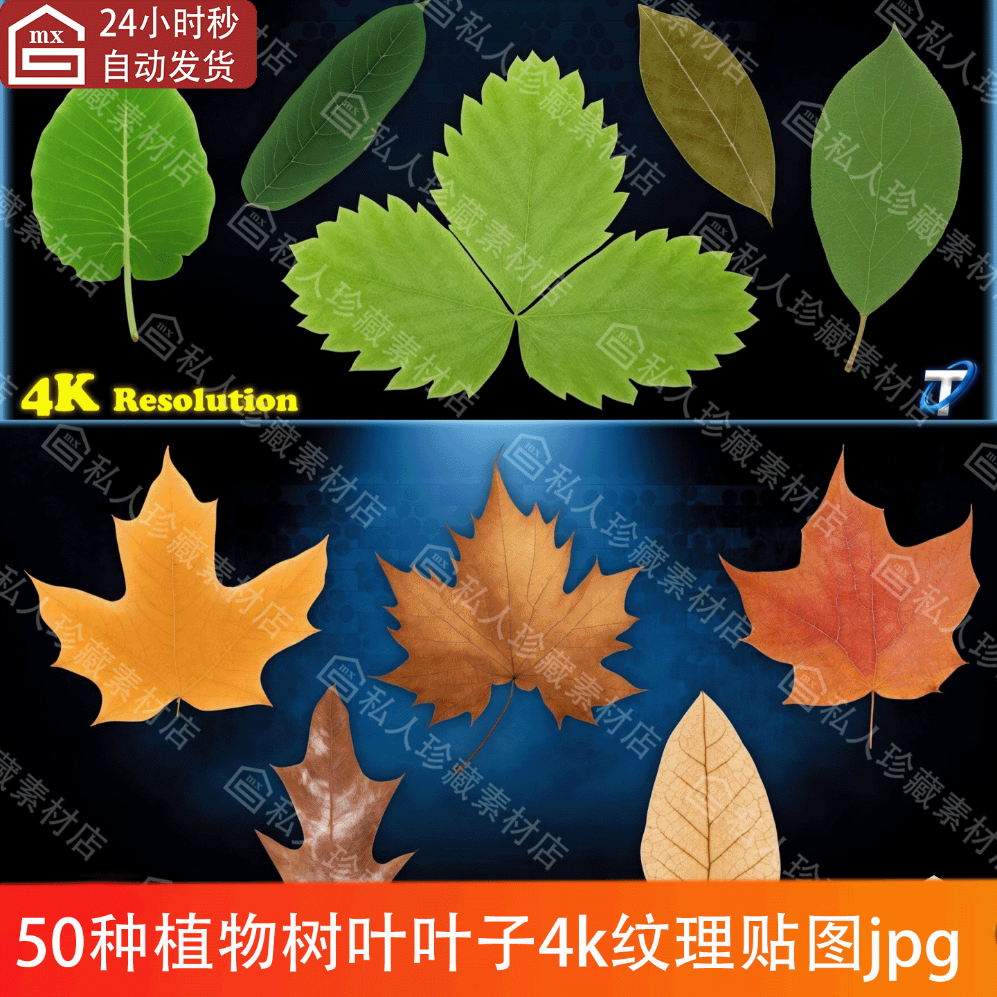 50组绿植树叶叶子贴图4K植物黄绿枫叶颜色透明通道法线贴图素材