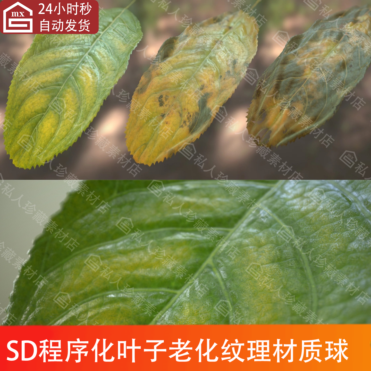 SD写实程序化树叶子随时间老化纹理材质球Substance Designer材质