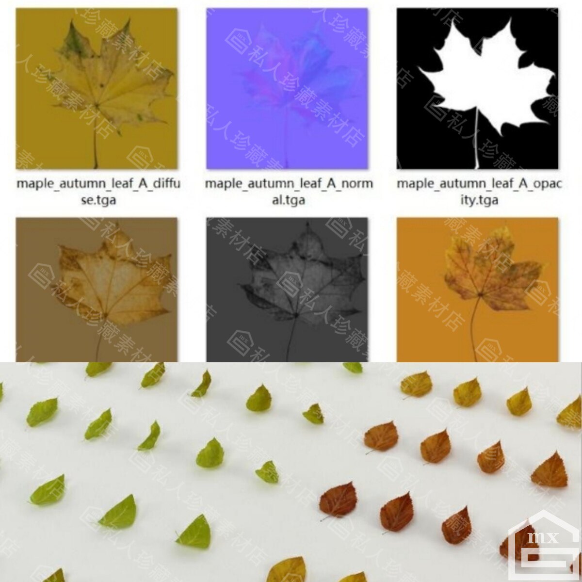25套扫描树叶子秋季落叶红枫叶纹理贴图法线透贴蕨类植物叶3d模型