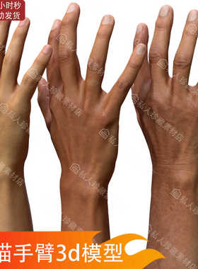 zbrush亚洲男人20岁40岁60岁扫描手臂手部3D模型ZTL纹理贴图高模