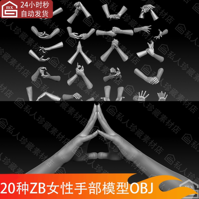 zbrush雕刻女性手势手指手掌手势握拳手部姿势高模三维3d模型stl