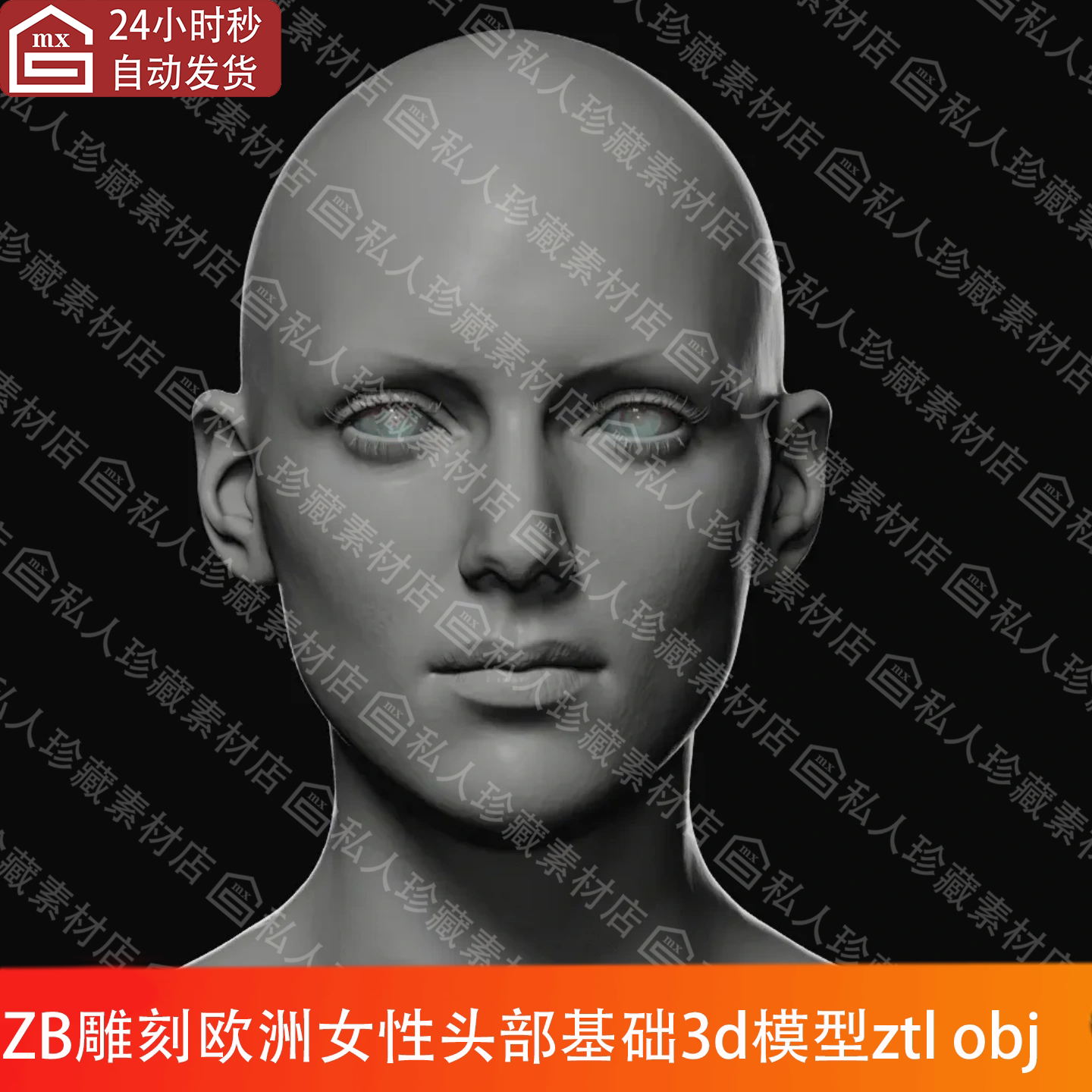 ZBrush女性人头部头像基础3d模型ZTL细分UV欧洲人物光头高模OBJ