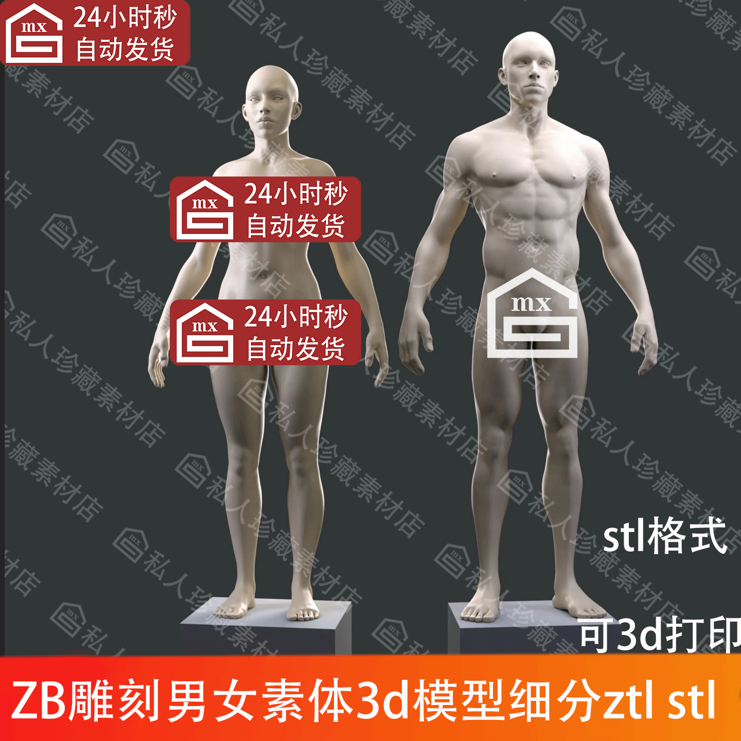 ZBrush雕刻男女性素体人体3d模型ZTL细分5级人物全身光头高模stl