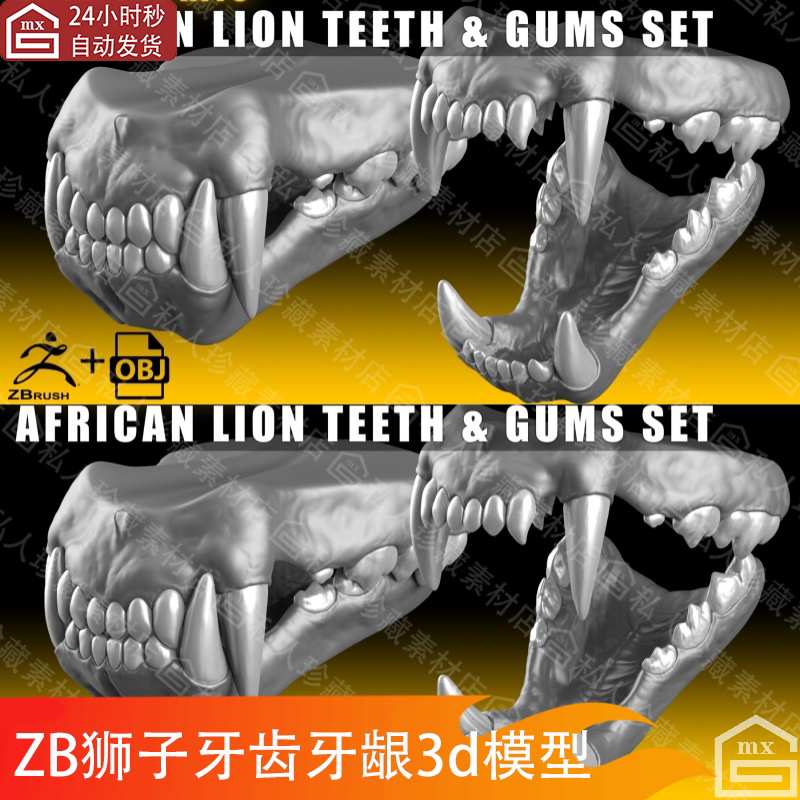 zbrush动物狮子牙齿牙龈3d模型ztl细分obj可打印野兽牙口雕刻高模
