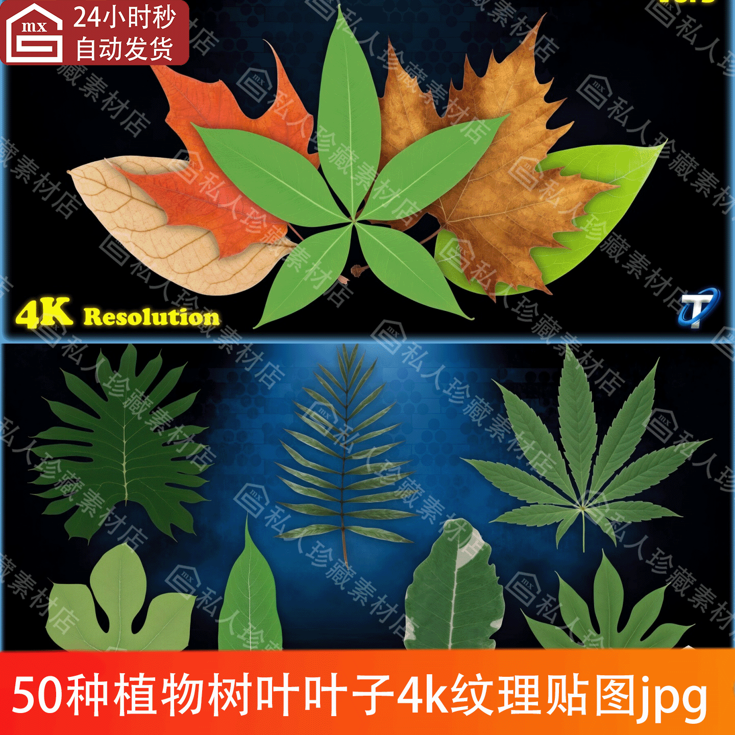 50种逼真植物树叶子绿植红枫叶落叶绿叶黄叶4k纹理贴图jpg素材PBR