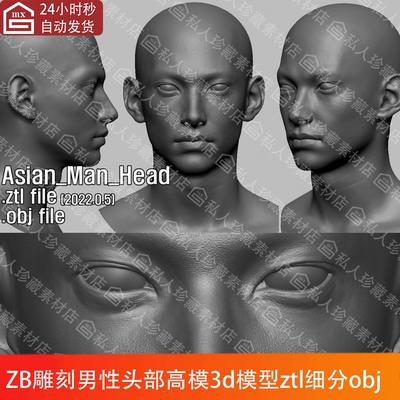 ZBrush光头男性帅哥人头部头像肖像雕刻3d模型ztl高精度ZB高模obj