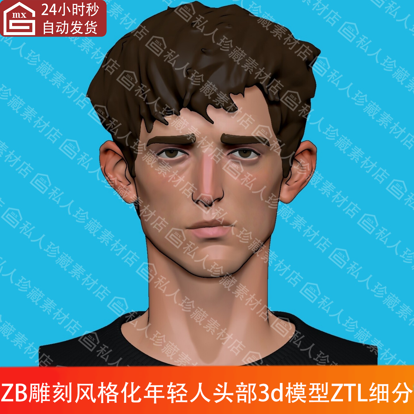 zbrush风格化年轻短发男性人物头部头像顶点绘制头3d模型ztl细分