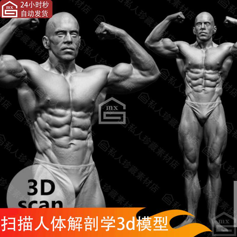 zbrush扫描人体运动员男性肌肉解剖学雕刻雕塑人物角色全身3d模型