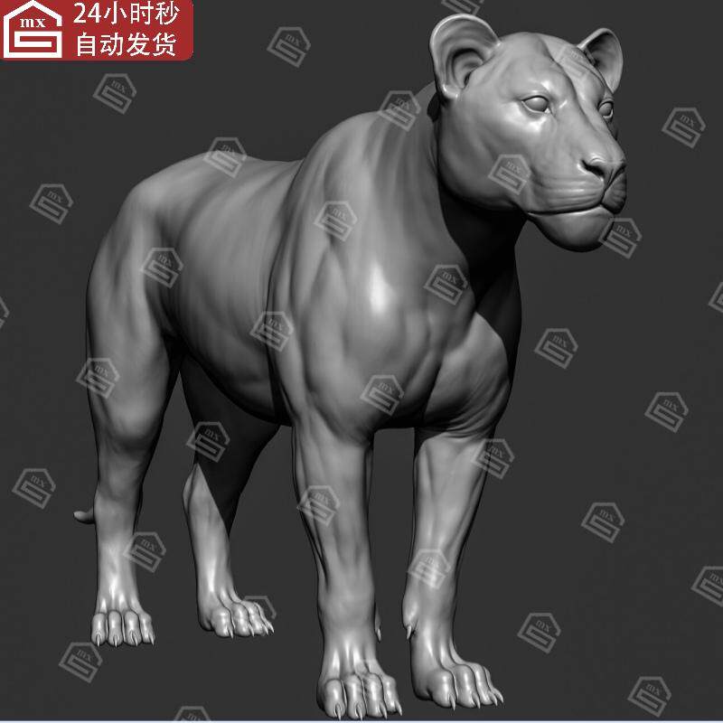 zbrush动物母狮子3d模型stl素材可打印高精度雕刻高摸三维模型ztl