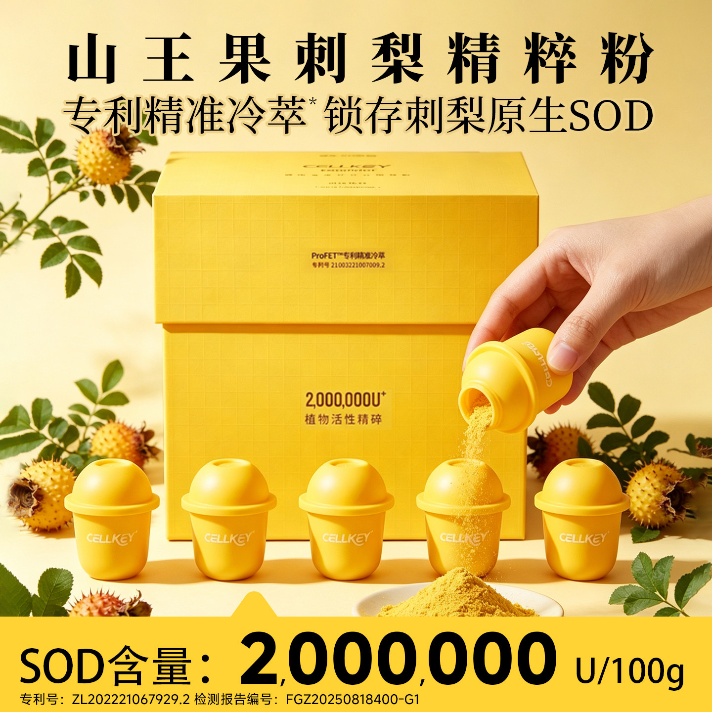 山王果CellKey小金蛋刺梨冻活粉植物活性精粹粉SOD超氧化歧化酶图片