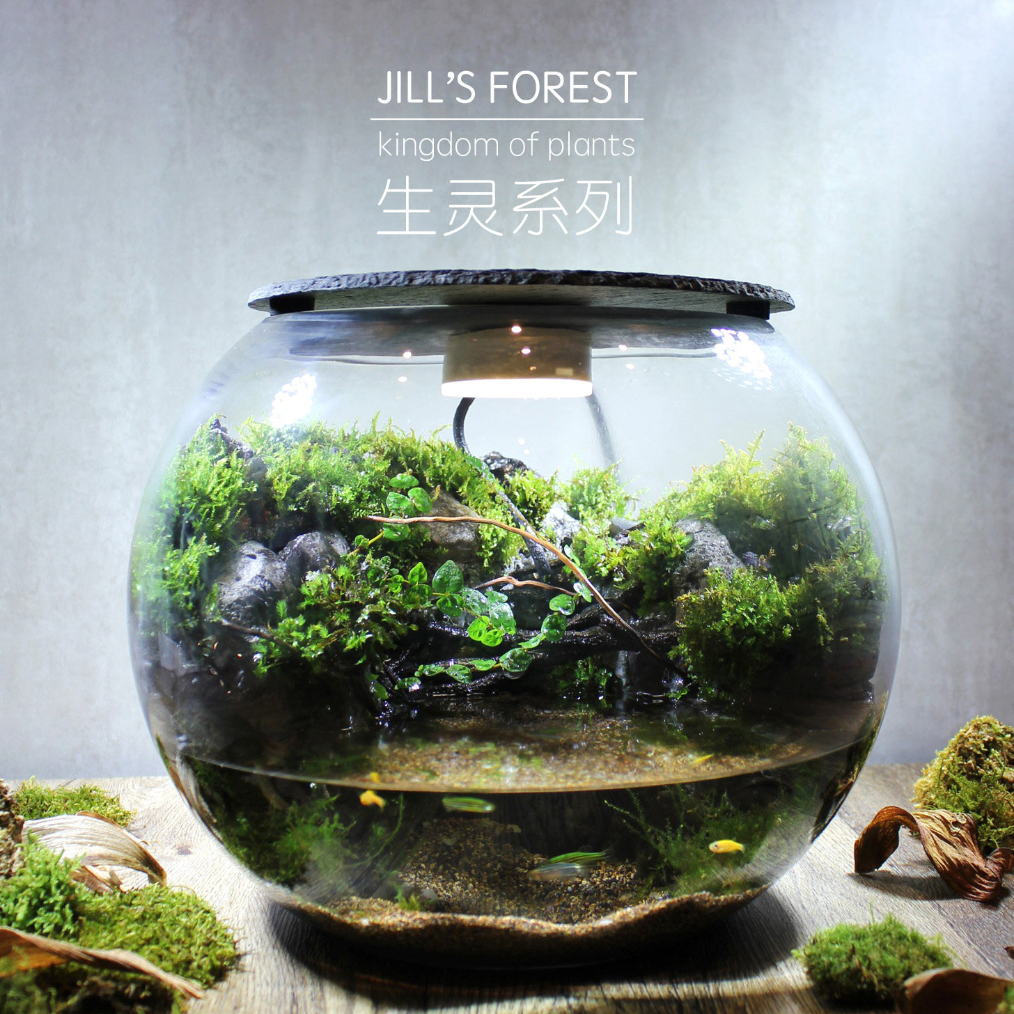 生灵系列水族生态缸圆形桌面鱼缸自循环雾化流水造景小型水陆两栖