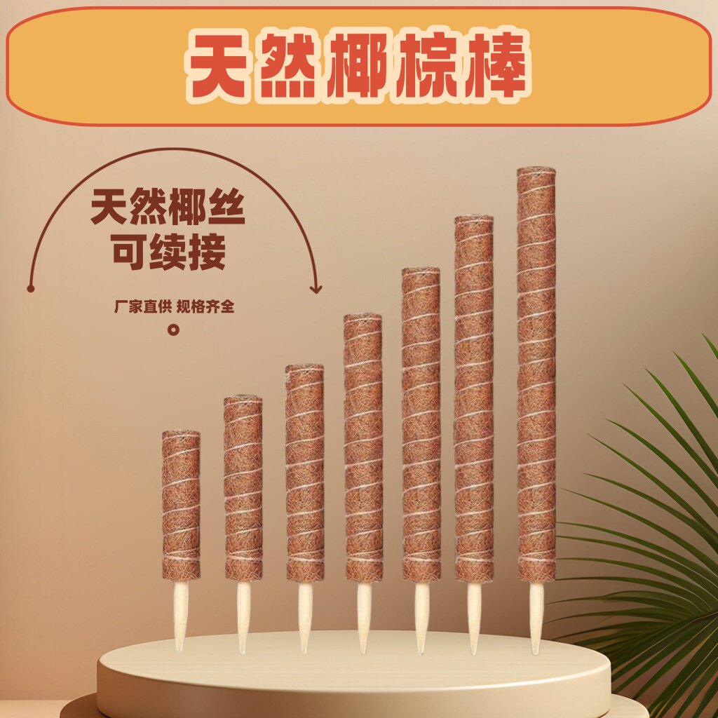 椰棕植物攀爬架绿箩柱棒龟背竹支撑爬藤花架椰丝缠绕棕榈柱杆固定