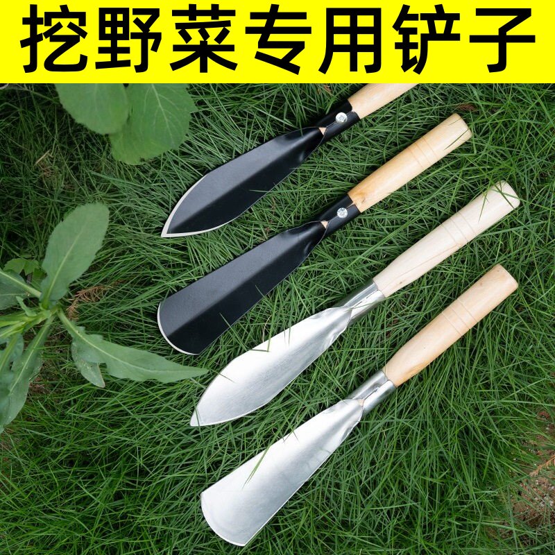 锰钢园艺小铲子挖野菜挖土