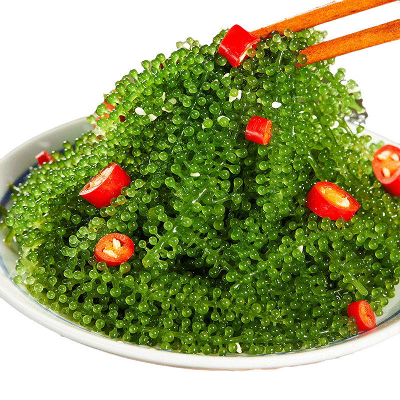 海葡萄新鲜即食盐渍海洋儿童鱼子酱海藻带凉拌菜水葡萄海草菜600g