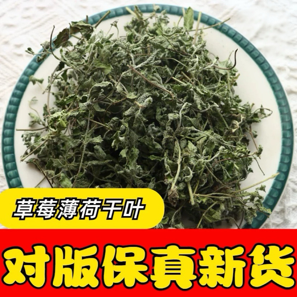 草莓薄荷干叶 天然烘干无添加 对版保真克拉香草基地直供