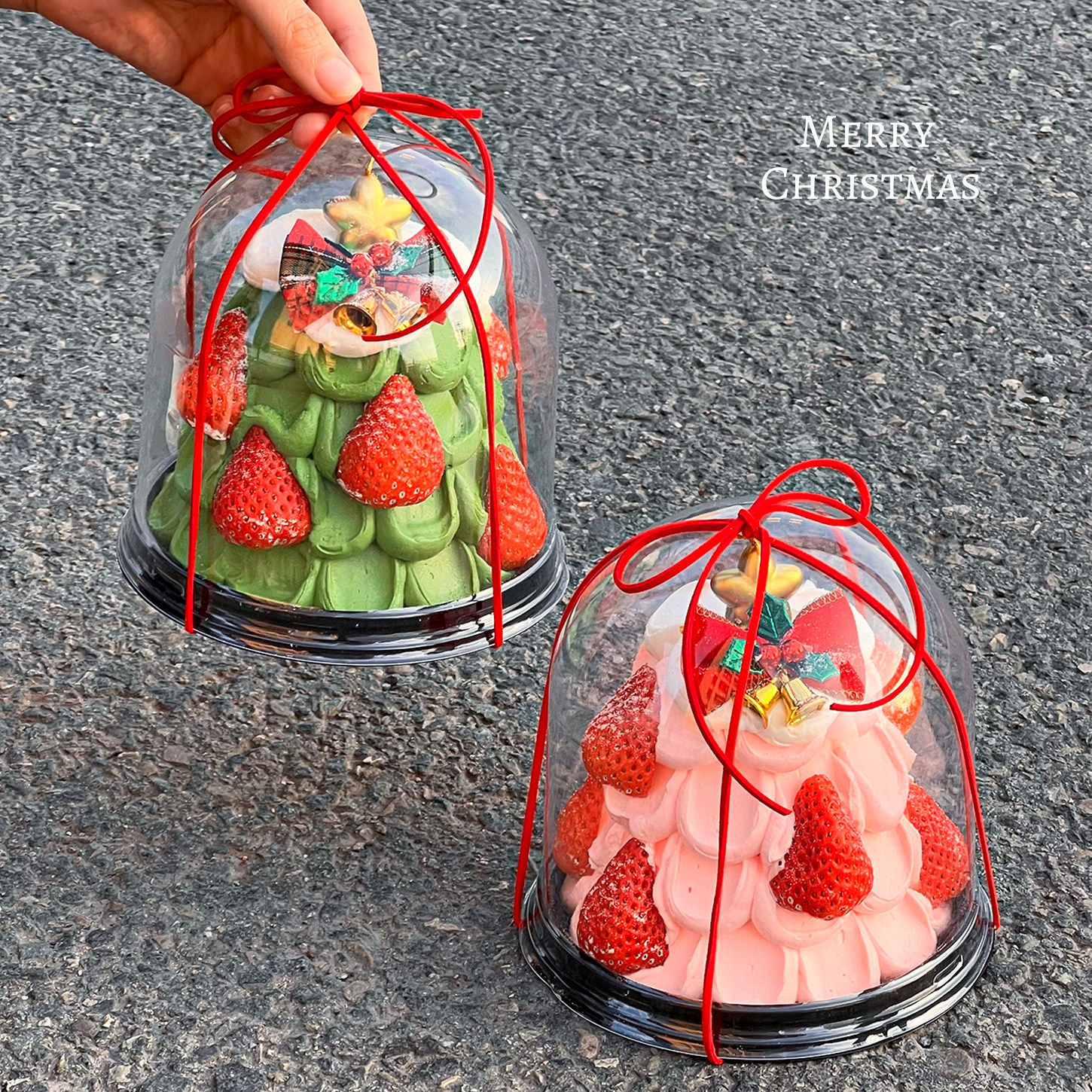 2025圣诞节4寸圣诞树蛋糕装饰透明圆形包装盒蝴蝶结铃铛甜品配件,节庆用品/礼品,蛋糕/烘焙装饰用品,淘宝优惠券,粉丝福利购,淘宝优惠卷