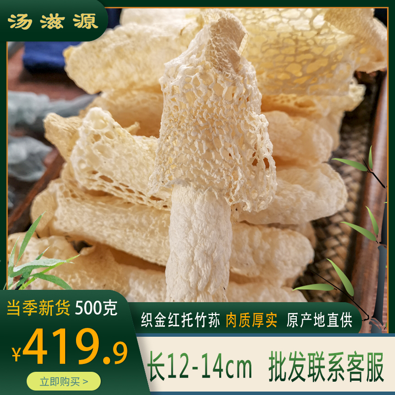 贵州织金红托竹荪短裙食材肉厚实