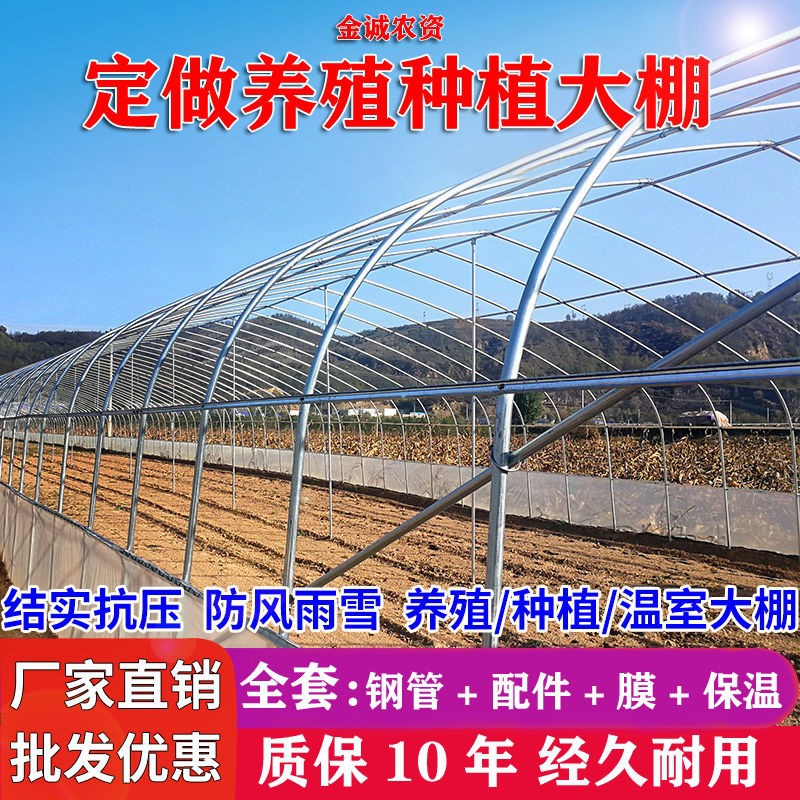 速发搭建骨架大棚大棚养家鸭猪鹅骨架鸡舍钢管搭棚P场鸡建养殖场