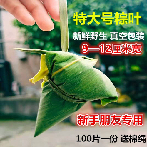 新鲜粽叶子野生箬叶特大号粽叶100片新叶包邮家用端午节包粽子叶