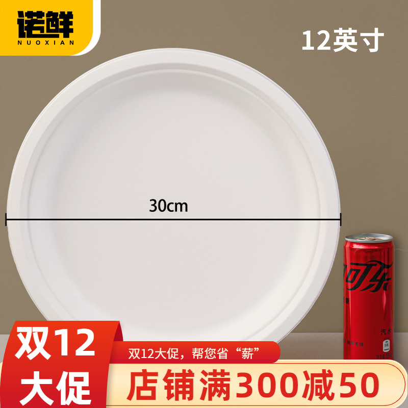 可降解纸盘圆盘餐盘蛋糕盘画画盘