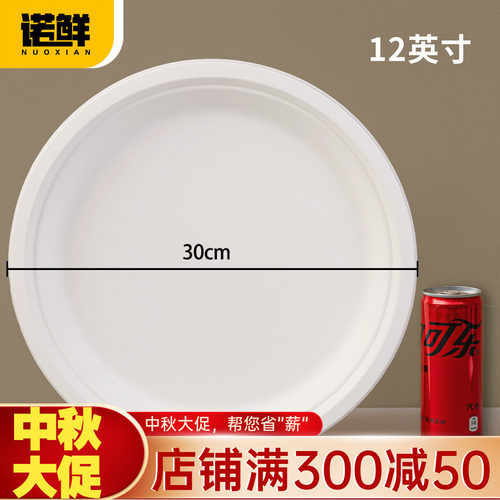 可降解纸盘圆盘餐盘蛋糕盘画画盘