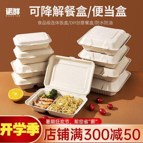一次性饭盒餐盒家用商用水果盒