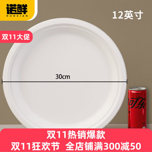 可降解纸盘圆盘餐盘蛋糕盘画画盘